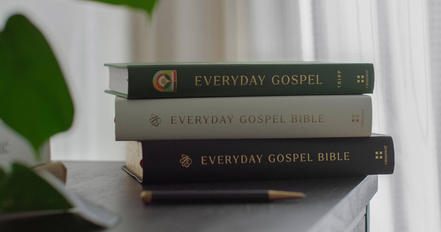 Everyday Gospel: A Daily Devotional