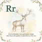 Iam The Lamb’s ABCs of Christmas | Christian Board Book