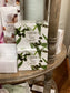 Scent Stems Holder