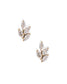 screwback-stud-earrings-laurel-gold
