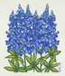 Blue Bonnet Swedish Cloth