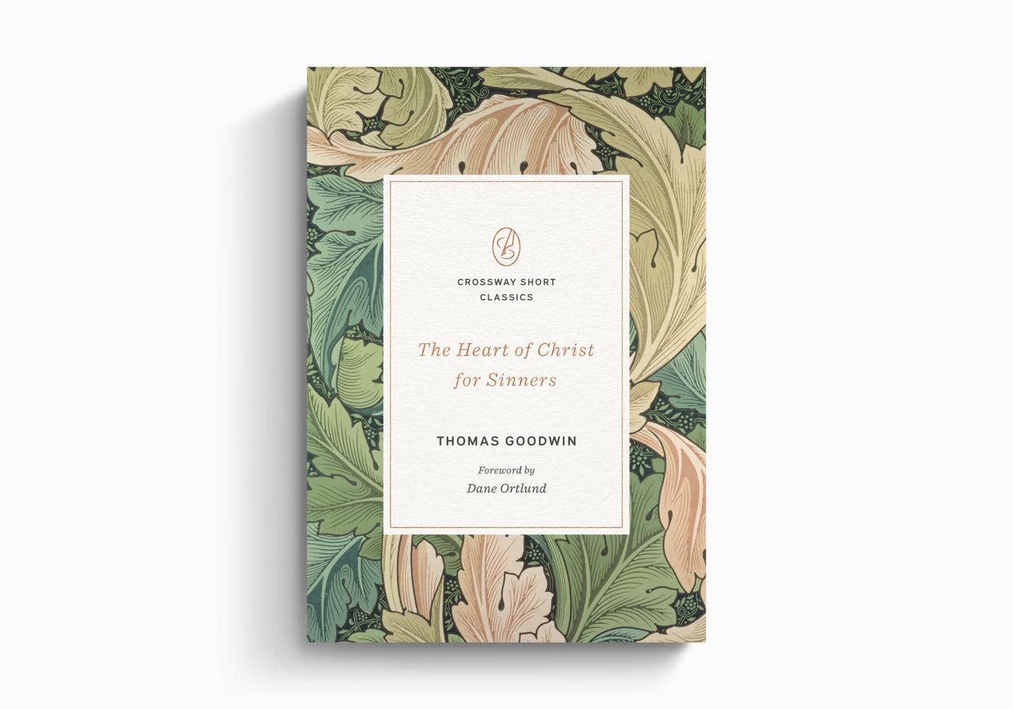 The Heart of Christ for Sinners