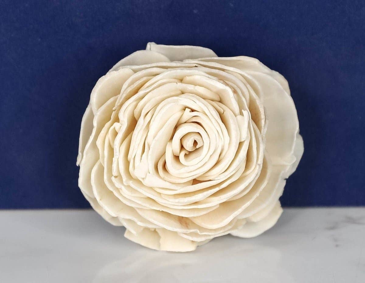 3" Aurora (10 pack)