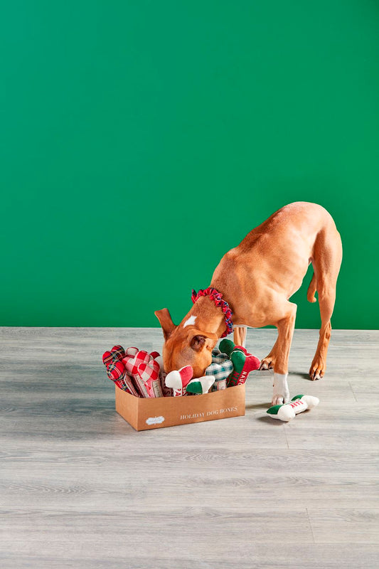 Mud Pie Dog Toy - Stuffed Bones