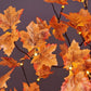 Fall Maple Tree, Warm White LEDs, Indoor/Outdoor Autumn Decoration: 6-Foot