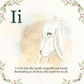 Iam The Lamb’s ABCs of Christmas | Christian Board Book