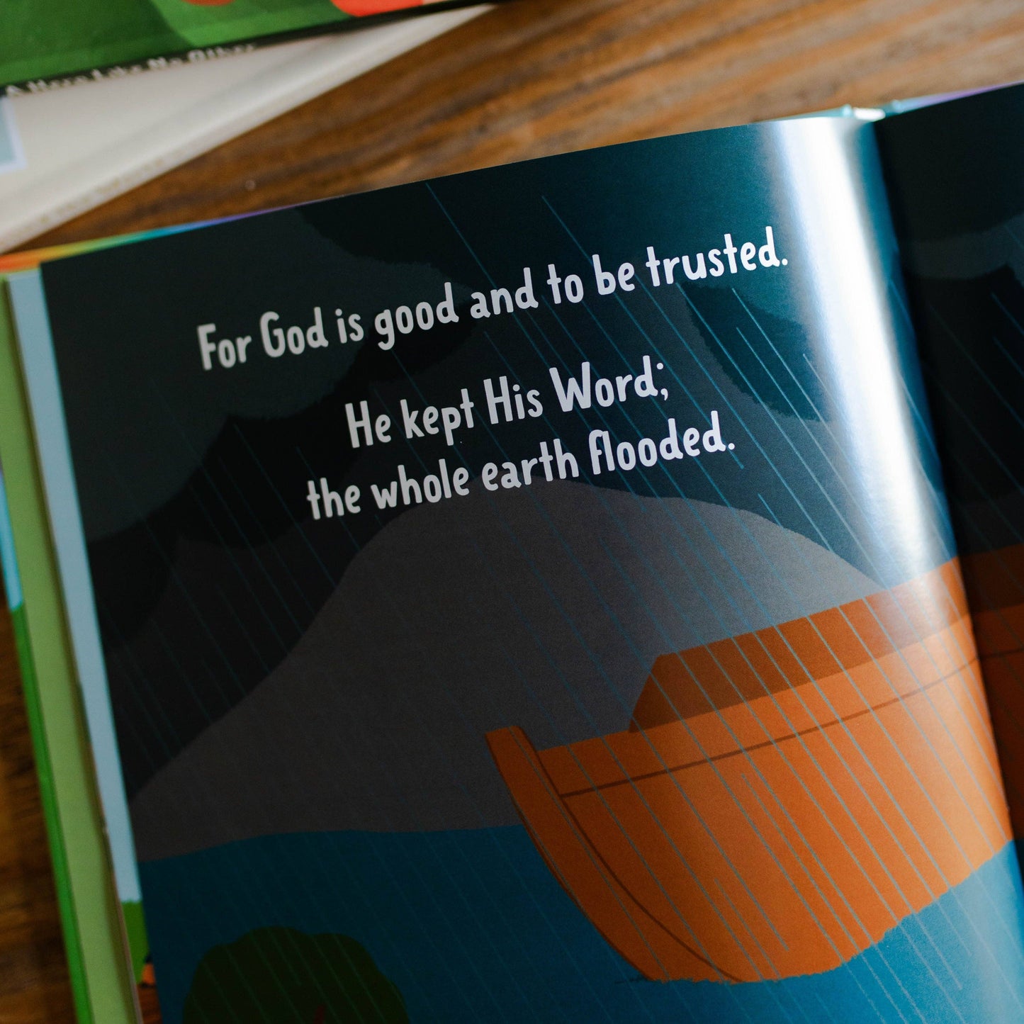 Faithful in the Flood | Children's Book