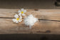 Aloha Bath Soak – Hawaiian Sea Salt, Plumeria & Magnesium