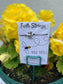Bee Still Christian Faith String Wish Bracelet Gift