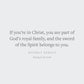 Strong in the Lord: A 30-Day Devotional on the Armor of God