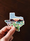 Texas Car Magnet