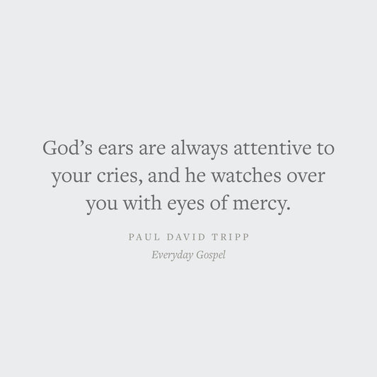Everyday Gospel: A Daily Devotional