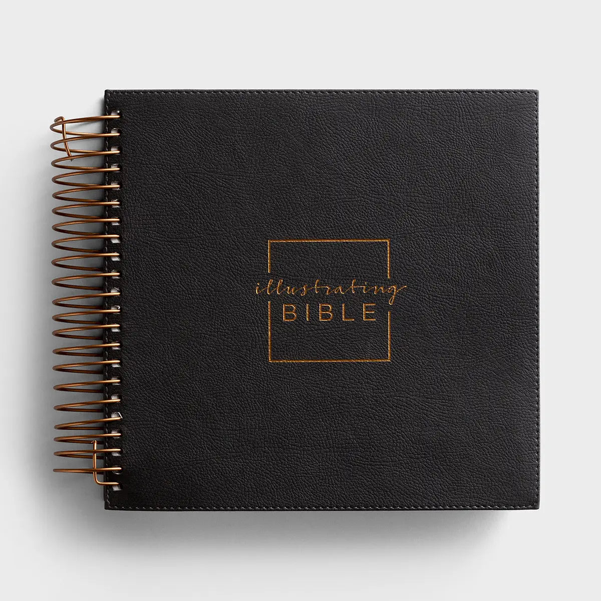NIV - Illustrating Bible - Dark Gray
