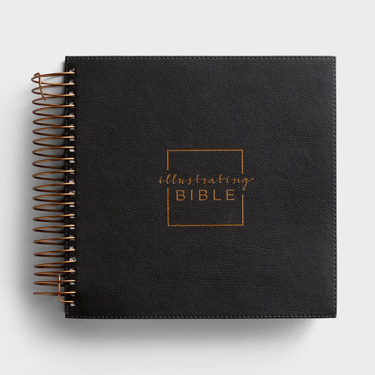 NIV - Illustrating Bible - Dark Gray